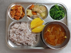 잡곡밥
김치콩나물국
닭간장조림
참나물무침
김치
과일