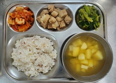 잡곡밥
맑은김칫국
돈육장조림
열무된장무침
김치