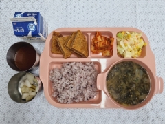흑미밥
쑥된장국
순살돈까스/소스
양배추옥수수샐러드
무오이피클
김치
우유