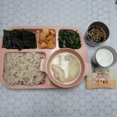 오곡찰밥
떡만둣국/초간장
취나물
김구이
깍두기
우유
대보름견과류