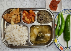 보리밥
얼갈이된장국
제육볶음
견과류멸치볶음
김치류
고추/쌈장