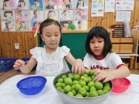 매실청 만들기