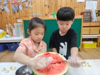 수박 화채 만들기