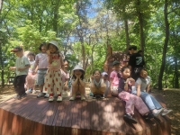 숲체험