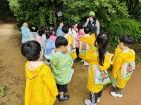 숲체험